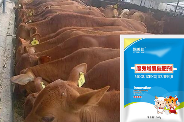 牛羊催肥劑廠家直供 牛羊催肥劑廠家直供