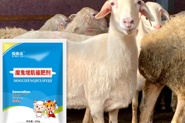 牛羊催肥飼料添加劑，為啥能有效果？