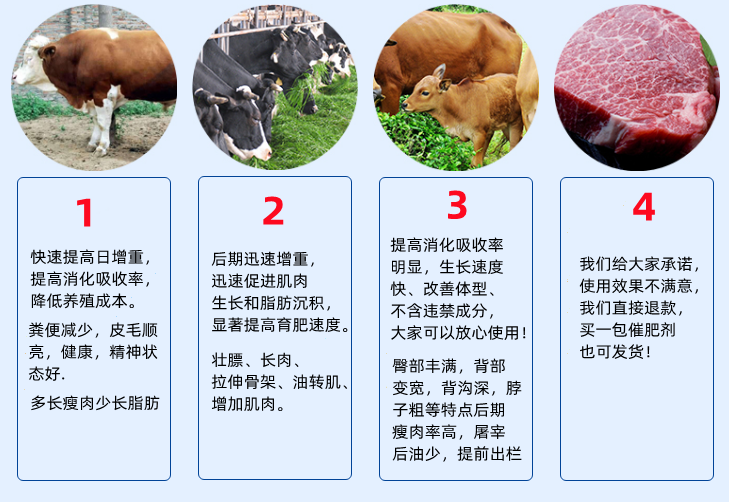 育肥牛飼料添加劑塑型長(zhǎng)瘦肉 改善體型廠家包郵 育肥牛飼料添加劑塑型長(zhǎng)瘦肉 改善體型廠家包郵