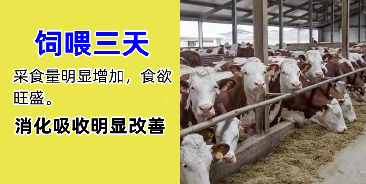 牛羊催肥劑有沒有用？如何選擇？