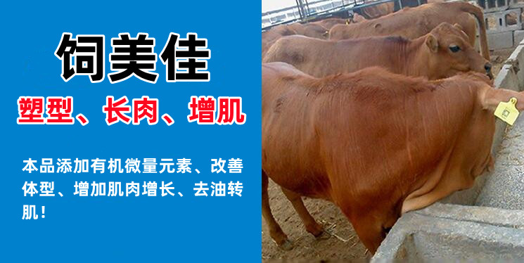 牛羊飼料添加催肥劑 增重塑型牛羊催肥劑廠家批發(fā) 牛羊飼料添加催肥劑 增重塑型牛羊催肥劑廠家批發(fā)