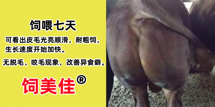 肉牛用什么添加劑去油脂 肉牛用什么添加劑去油脂