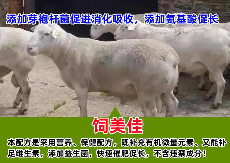 牛催肥飼料添加劑有哪些？魔鬼牛催肥劑值得一試！