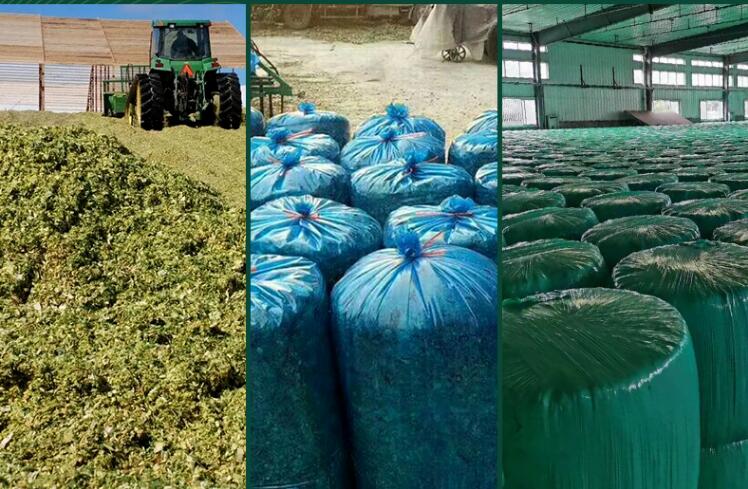 秸稈發(fā)酵飼料 秸稈發(fā)酵飼料