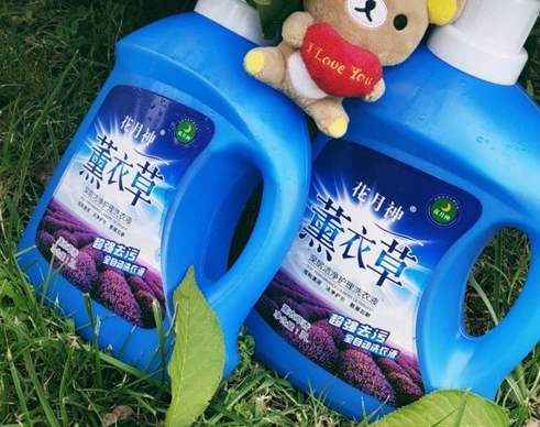 加酶洗衣液中添加的是什么酶？