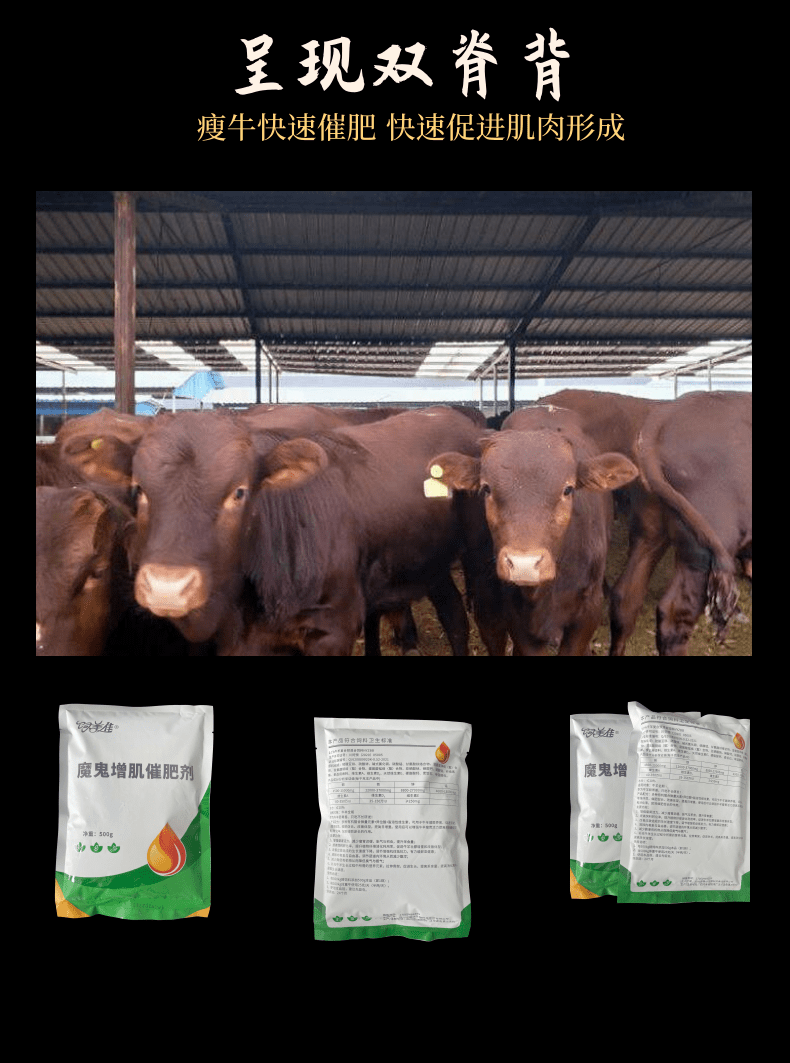 牛羊催肥促長_6@凡科快圖.png