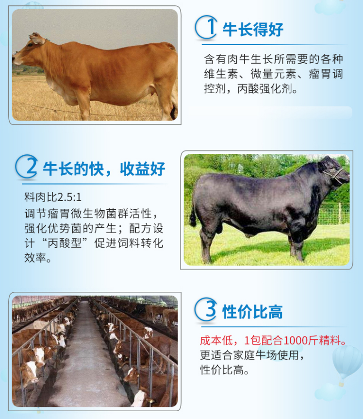 4%肉牛預(yù)混料前期用 4%肉牛預(yù)混料前期用