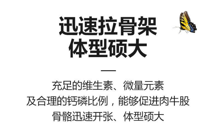 4%肉牛預(yù)混料后期催肥 4%肉牛預(yù)混料后期催肥