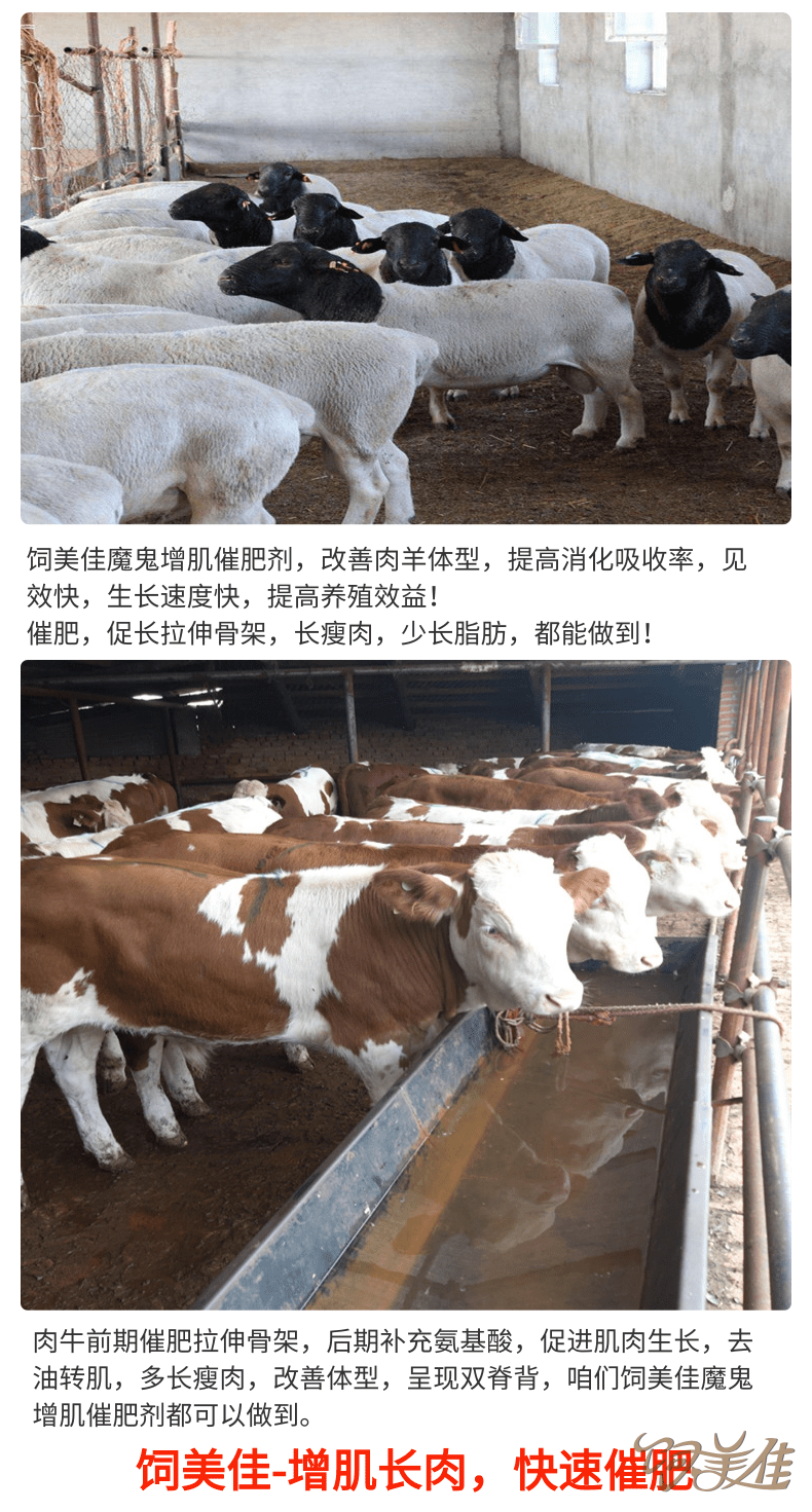 羊用催肥促長(zhǎng)添加劑那個(gè)牌子好？