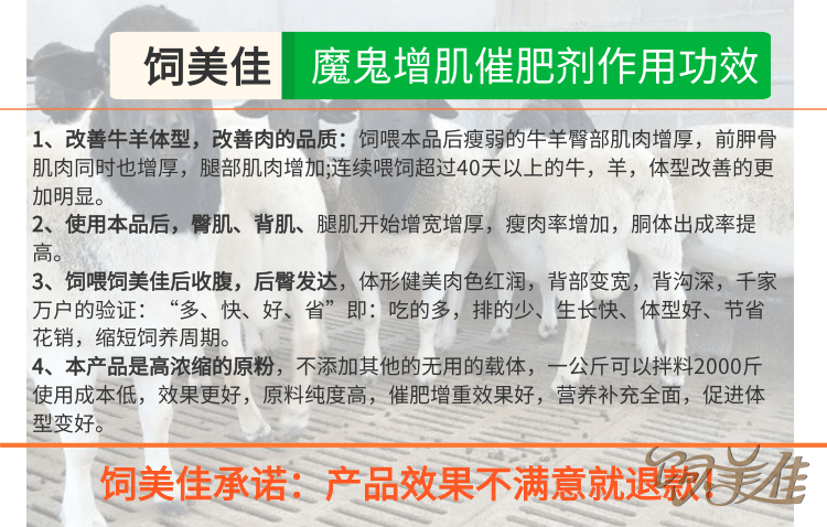 肉牛飼料添加劑的作用 肉牛飼料添加劑的作用