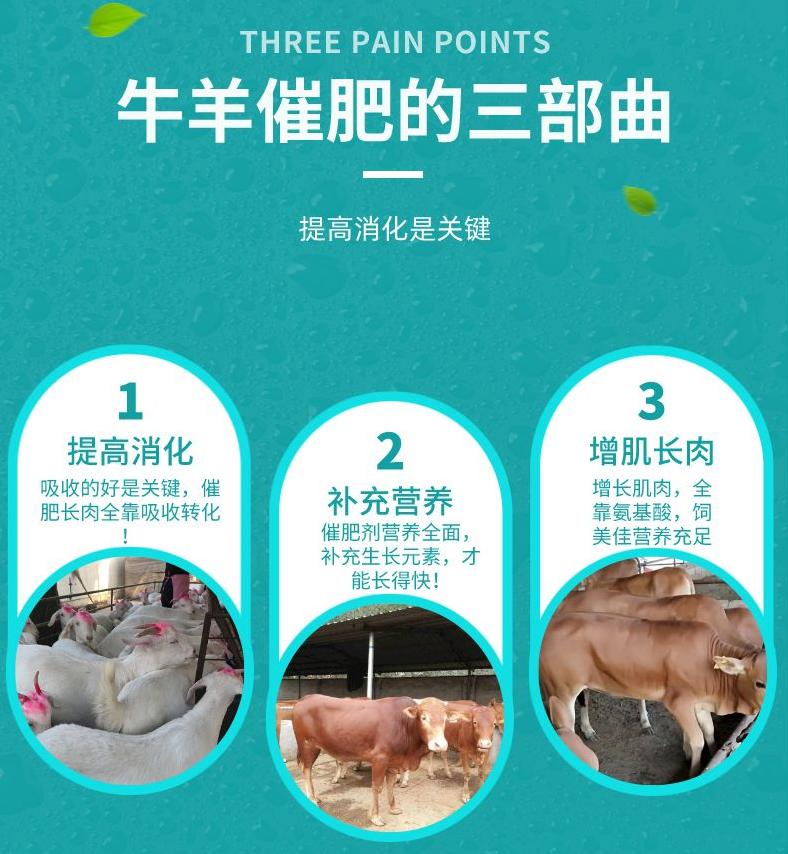 牛羊催肥劑哪種快速見效 牛羊催肥劑哪種快速見效
