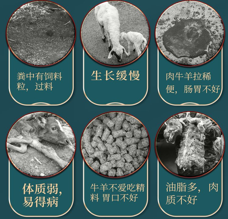 催肥小料怎么樣 催肥小料怎么樣