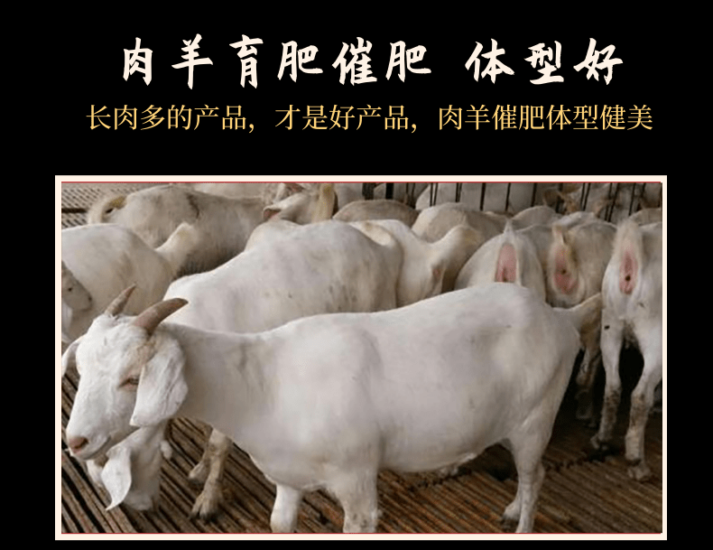 羊促長(zhǎng)劑催肥 飼料添加劑35一包