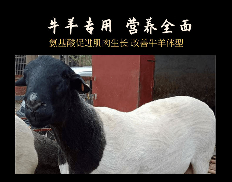 羊催肥飼料添加劑用量標(biāo)準(zhǔn)