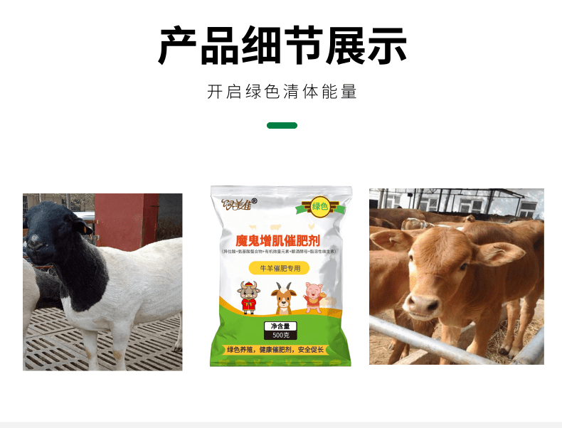 圈養(yǎng)羊催肥劑 快速補(bǔ)充營養(yǎng) 催肥長肉劑廠家包郵