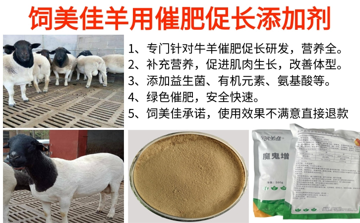 肉牛后期催肥添加劑有哪些