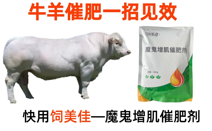 肉牛后期催肥添加劑是什么