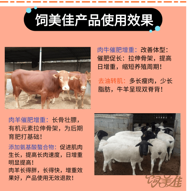 飼美佳魔鬼催肥劑 飼美佳魔鬼催肥劑